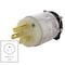 Ac Works Straight Blade Plug, 5-15P, 15 A, 125V AC, 2 Pole, Screw Terminals, Grounded AS515PL - alternate 4